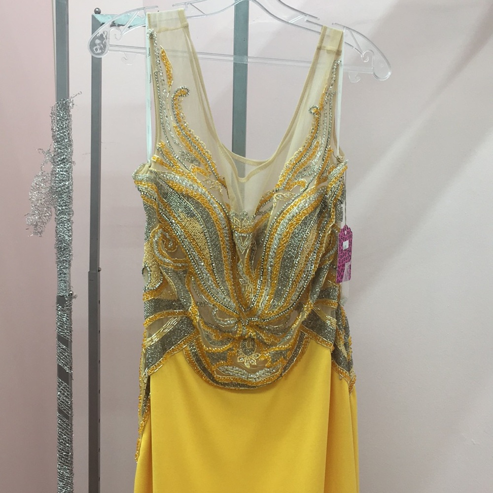 NWT GOLD AND SILVER DRESS